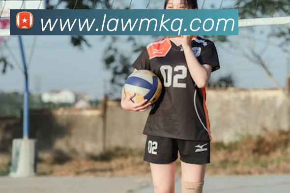 开云APP 封面图